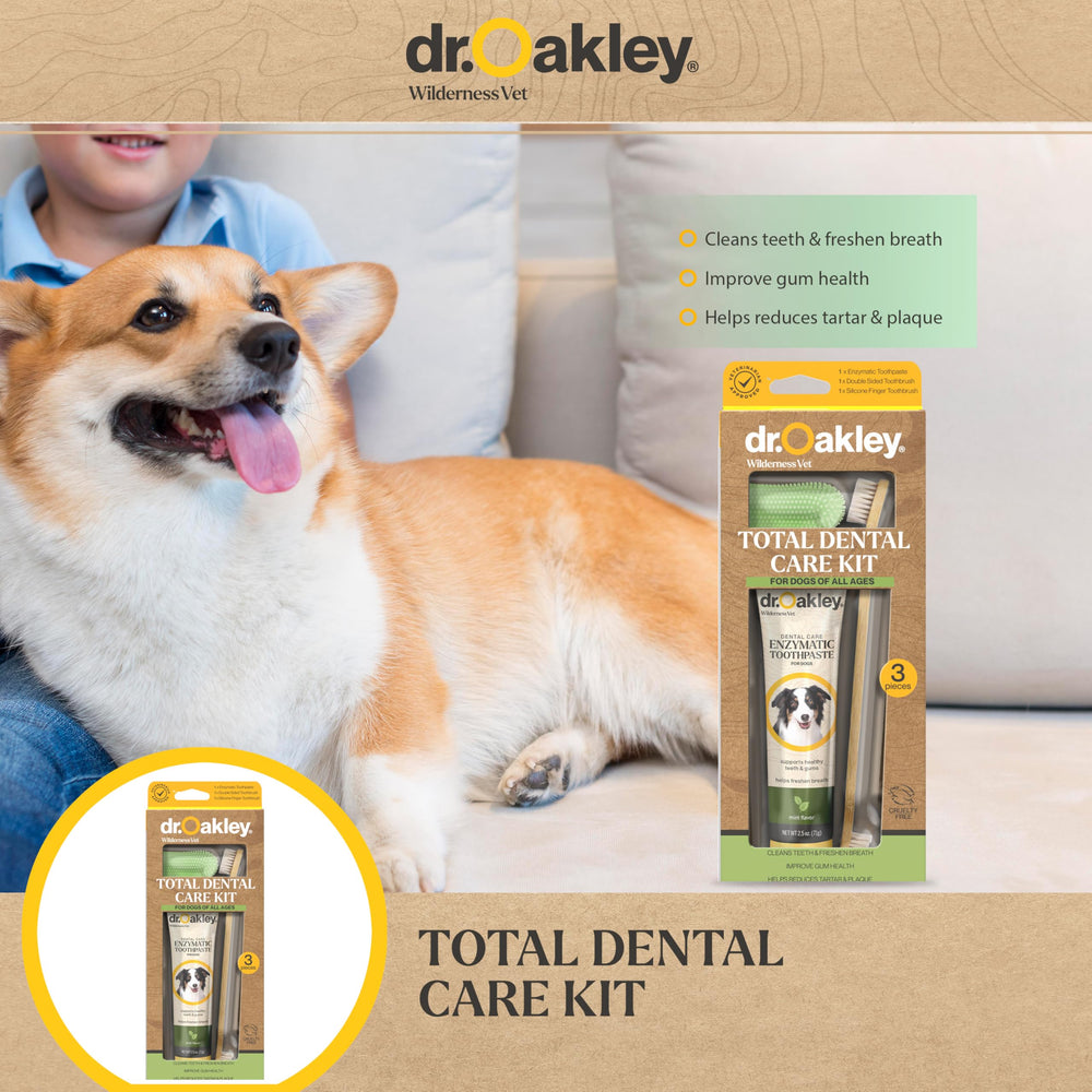 Dr Oakley dog dental care session demonstrates a stress-free brushing routine.