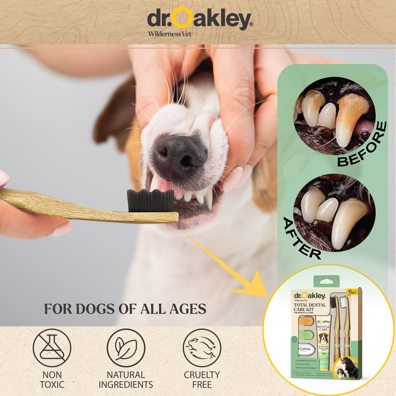 Dr. Oakley travel case keeps brushes organized and portable.