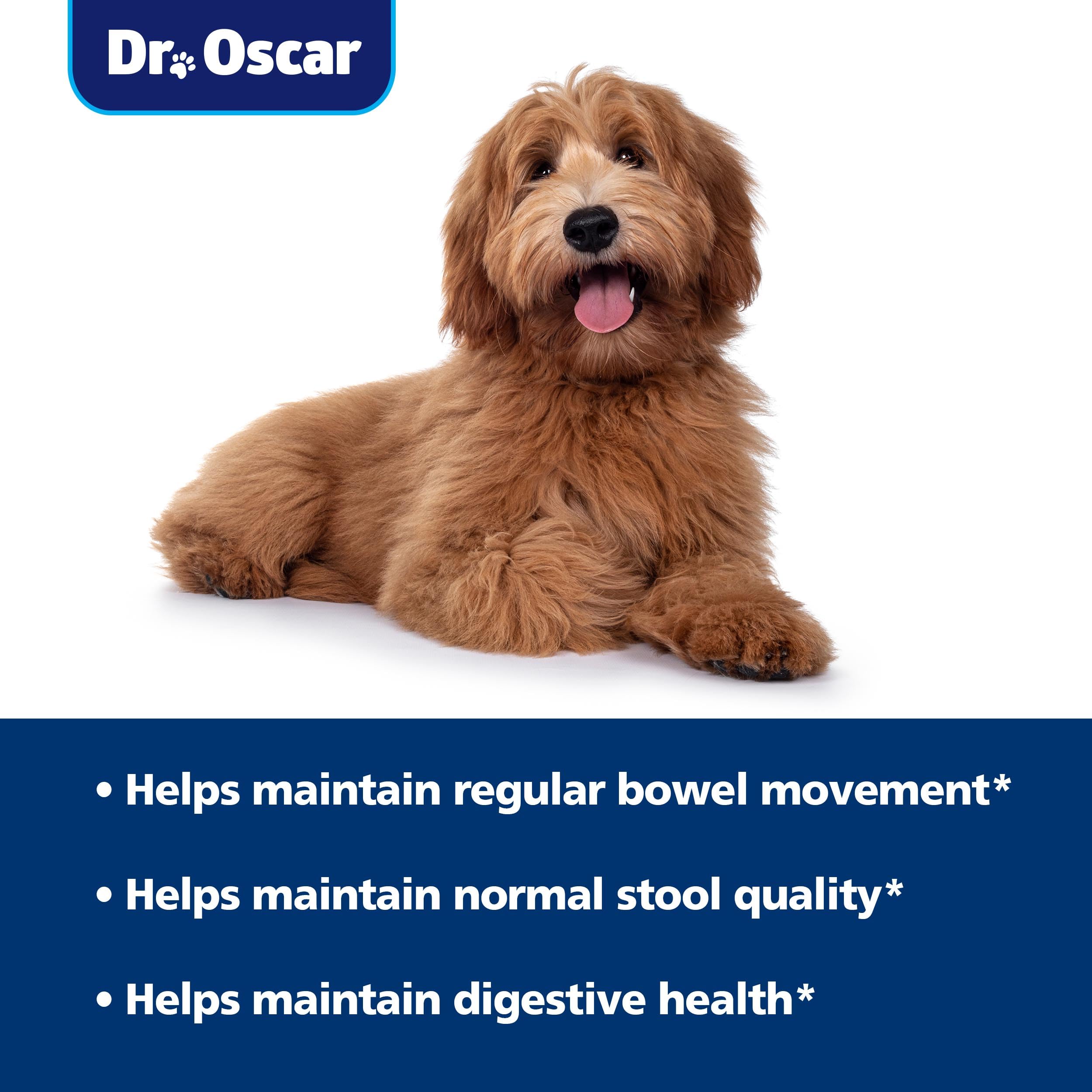 Dr. Oscar Gut Health dog feeding bowl with water shows hydration-friendly feeding.