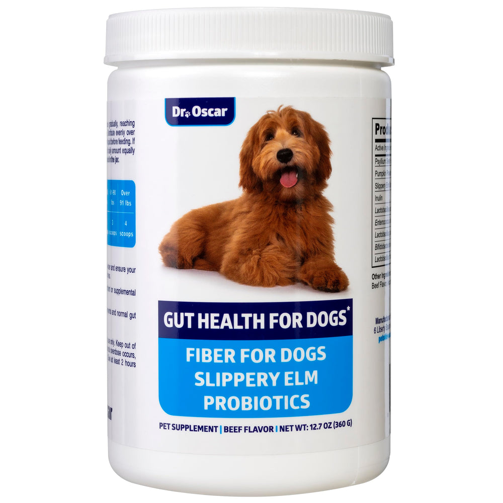 Dr. Oscar Gut Health powder bottle 360g supports daily digestive balance.