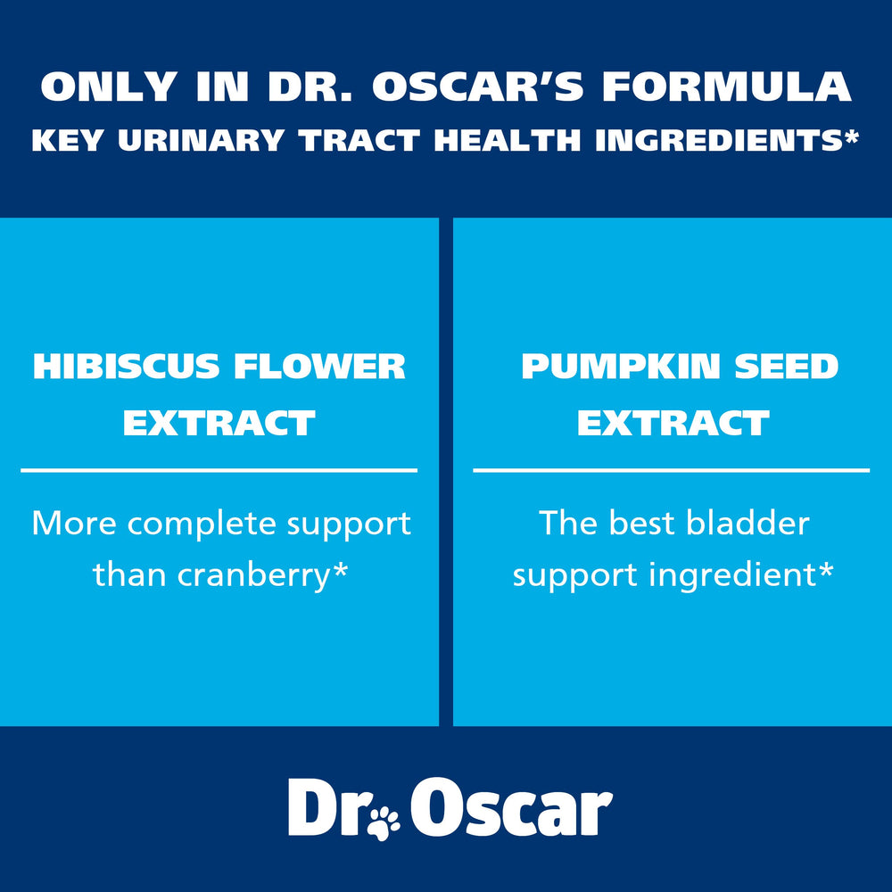 Dr Oscar hibiscus cranberry d-mannose synergy for urinary tract support