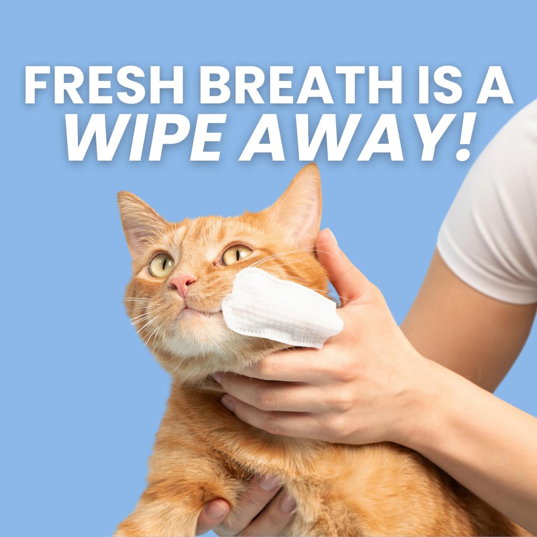 Disposable toothbrush alternative idea featuring Dr. Paws Choice wipes.