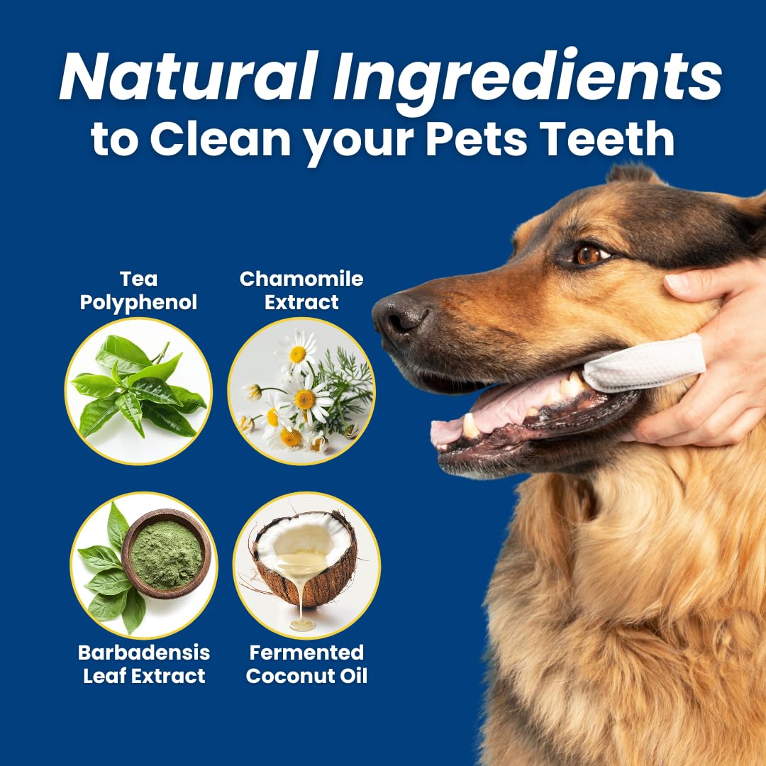 Dr. Paws Choice finger wipe on a dog's muzzle demonstrates simple, disposable dental care.