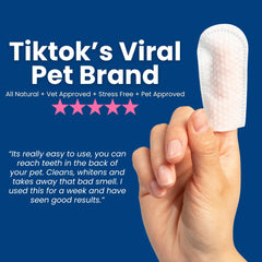 Dr. Paws Choice packaging beside a swatch illustrating a convenient dental care kit.
