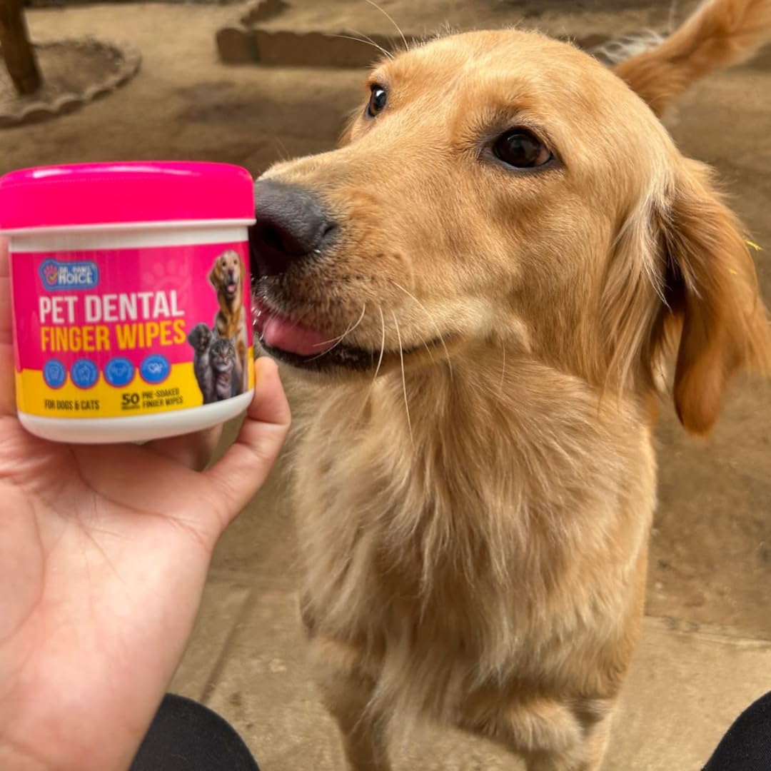 Puppy tooth brushing kit setup including Dr. Paws Choice finger wipes.