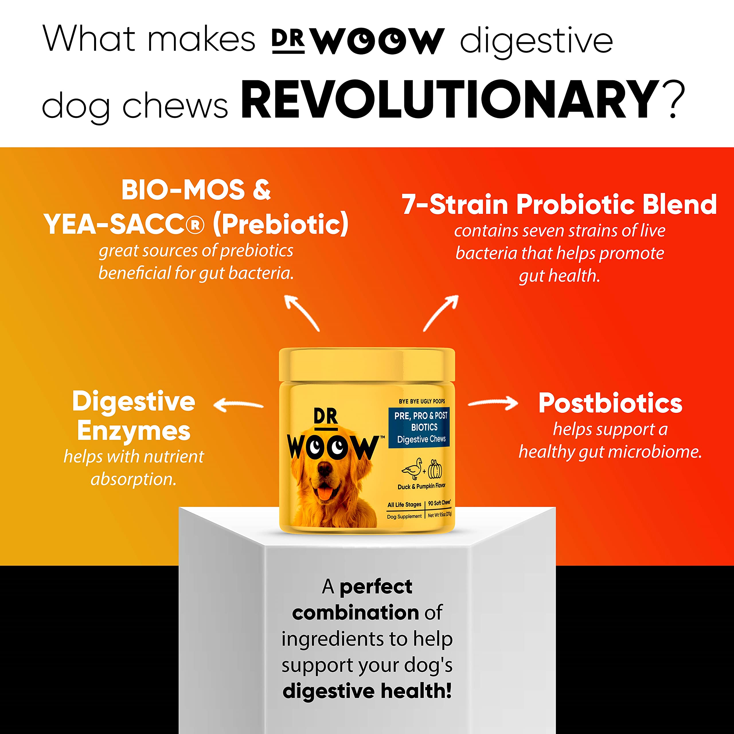 Dr Woow Probiotics for Dogs bottle with chews ready for daily gut-support.