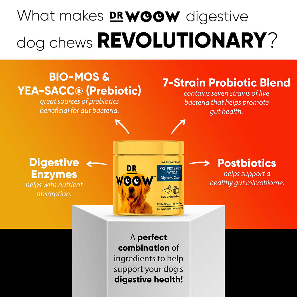 Dr Woow Probiotics for Dogs bottle with chews ready for daily gut-support.