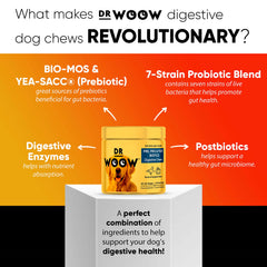 Dr Woow Probiotics for Dogs bottle with chews ready for daily gut-support.