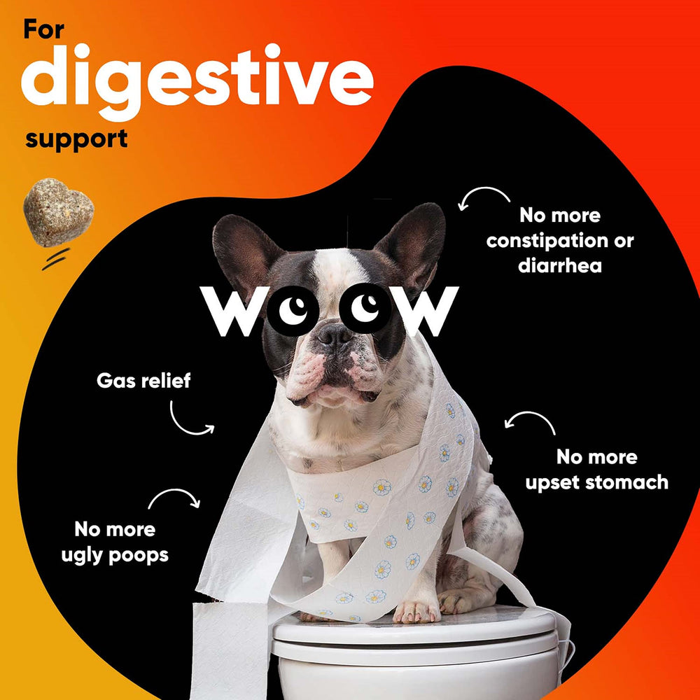 Dr Woow digestive enzyme chews in bag, supporting dog's gut flora.