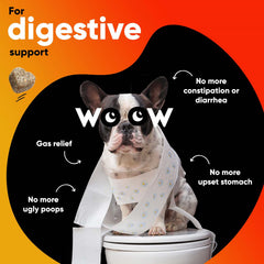 Dr Woow digestive enzyme chews in bag, supporting dog's gut flora.