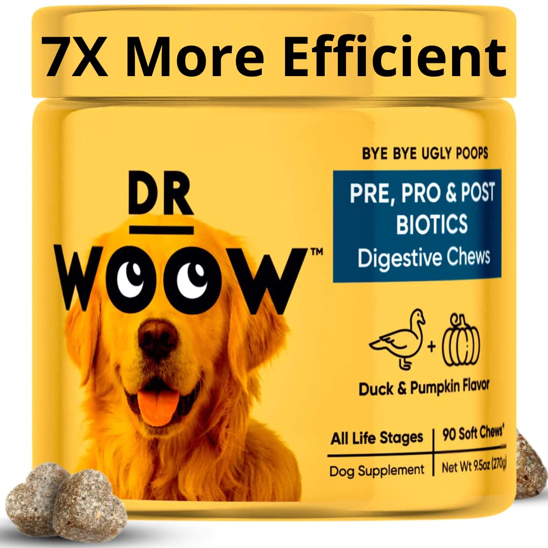 Dr Woow Probiotics for Dogs duck and pumpkin chews close-up showing tasty texture for digestion support.