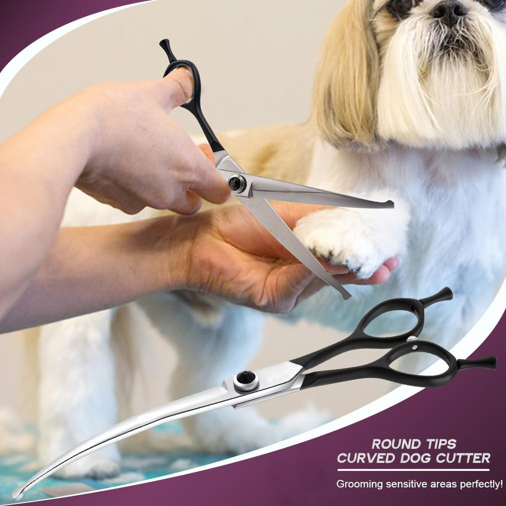 Dragon Creek professional-grade pet grooming scissors in clinic context.