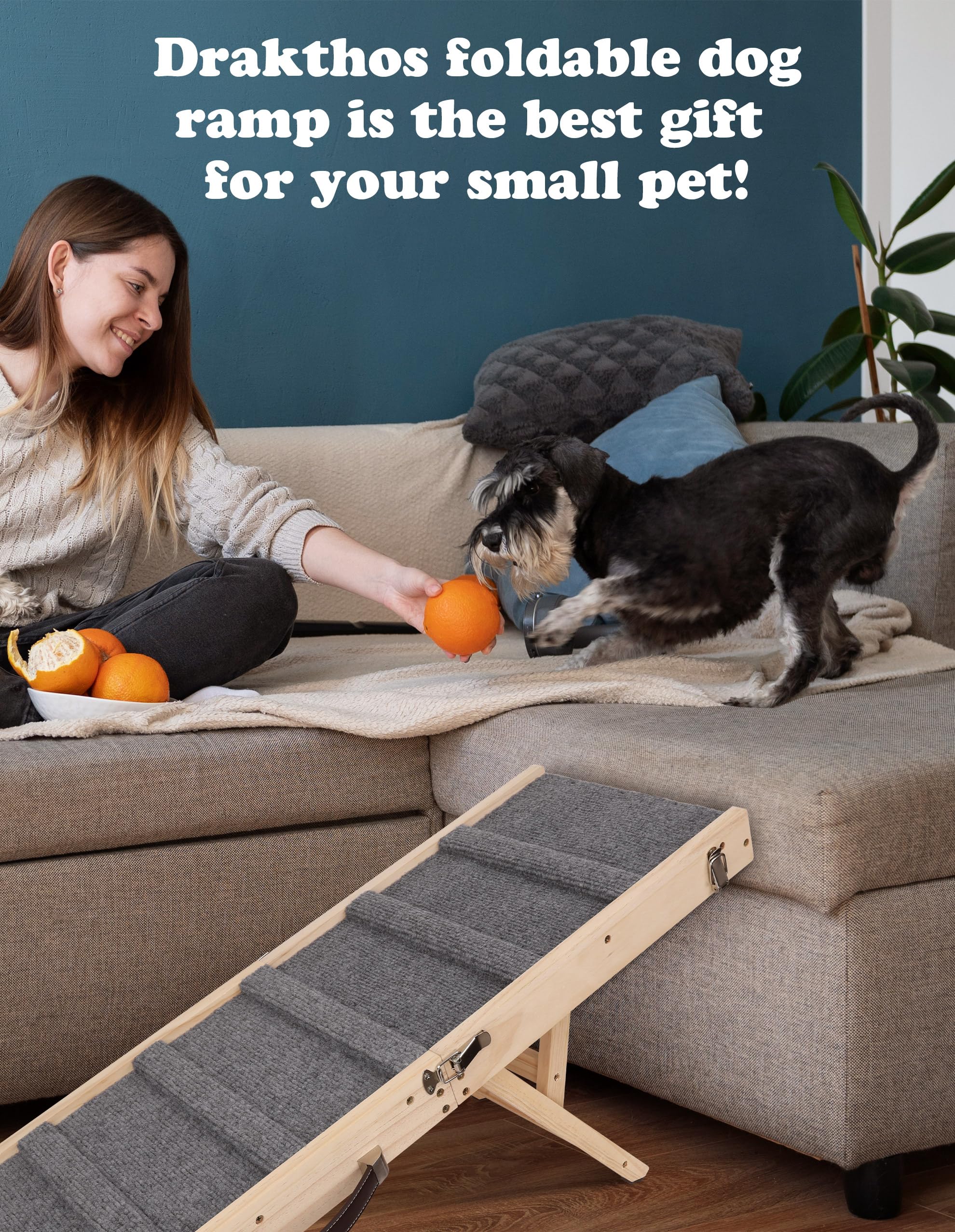 Drakthos dog ramp in use on sofa for easy entry and exit