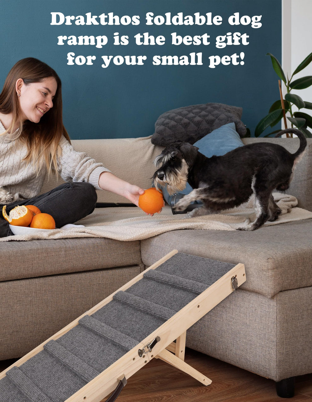 Drakthos dog ramp in use on sofa for easy entry and exit