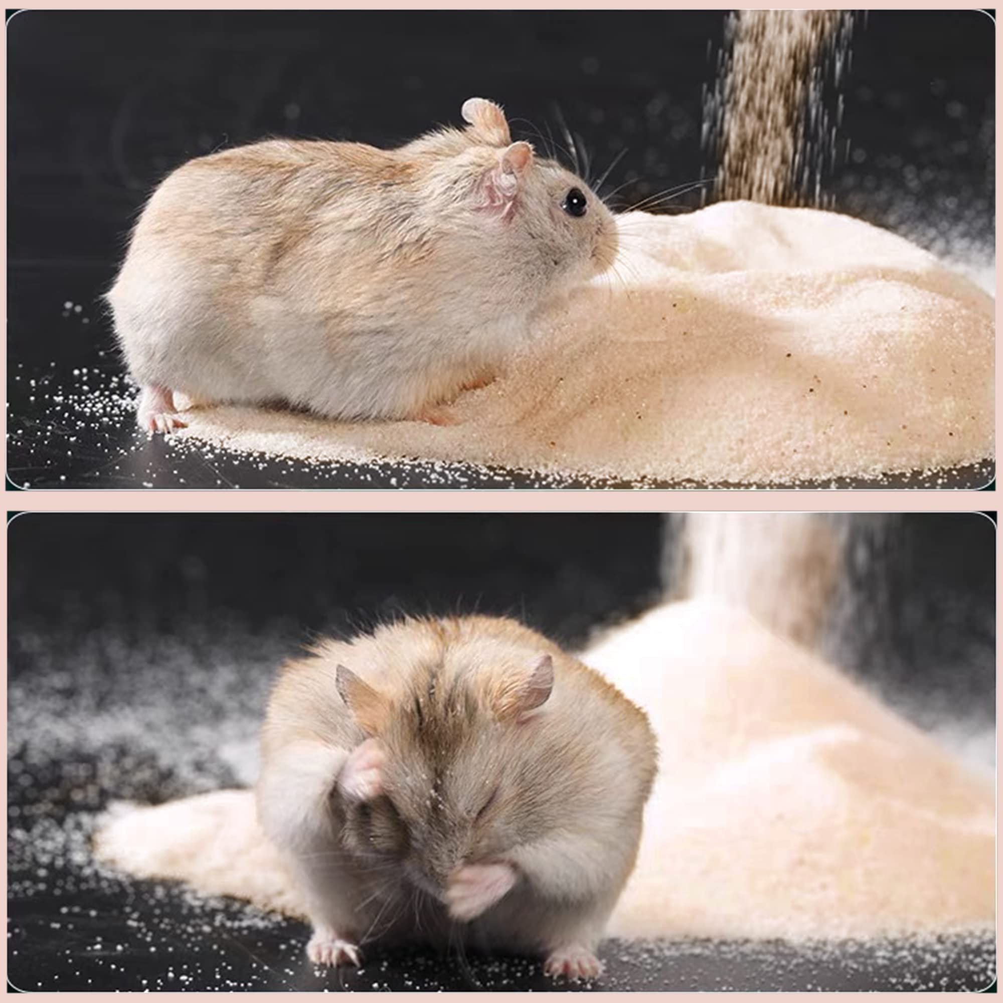 DR.DUDU dust-free pet sand keeps mess down during playtime.