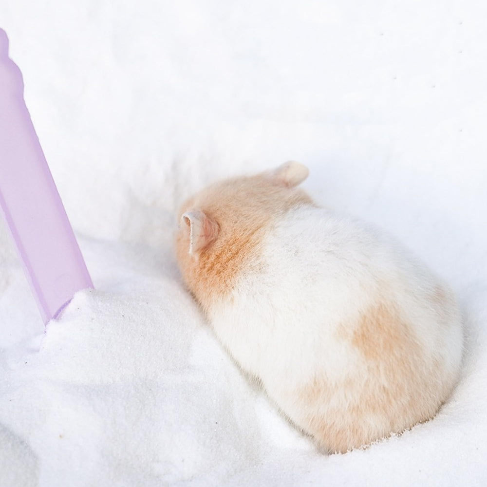 DR.DUDU hamster enjoying a bath with DR.DUDU sand for grooming