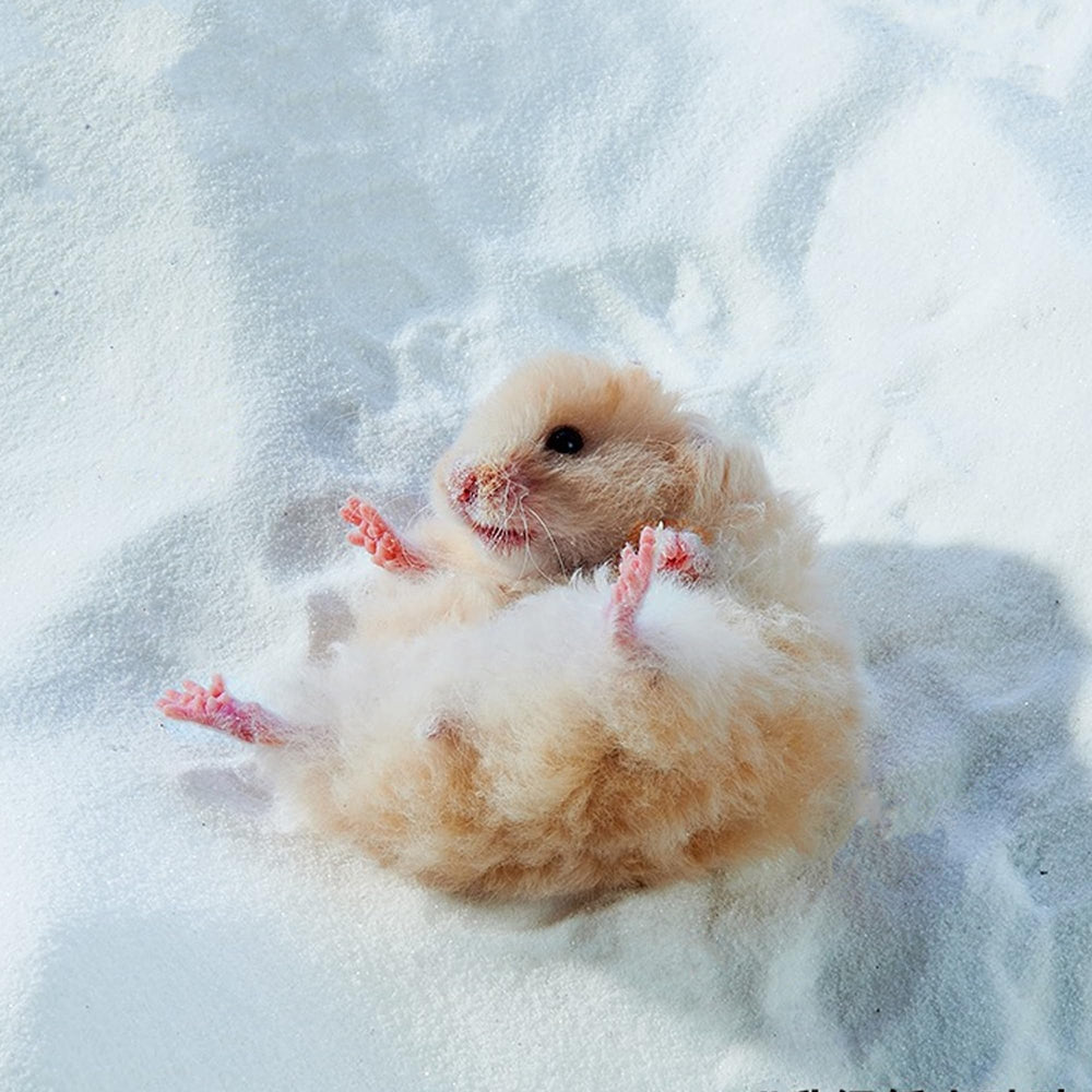DR.DUDU bath sand suitable for various small pets like hamsters.