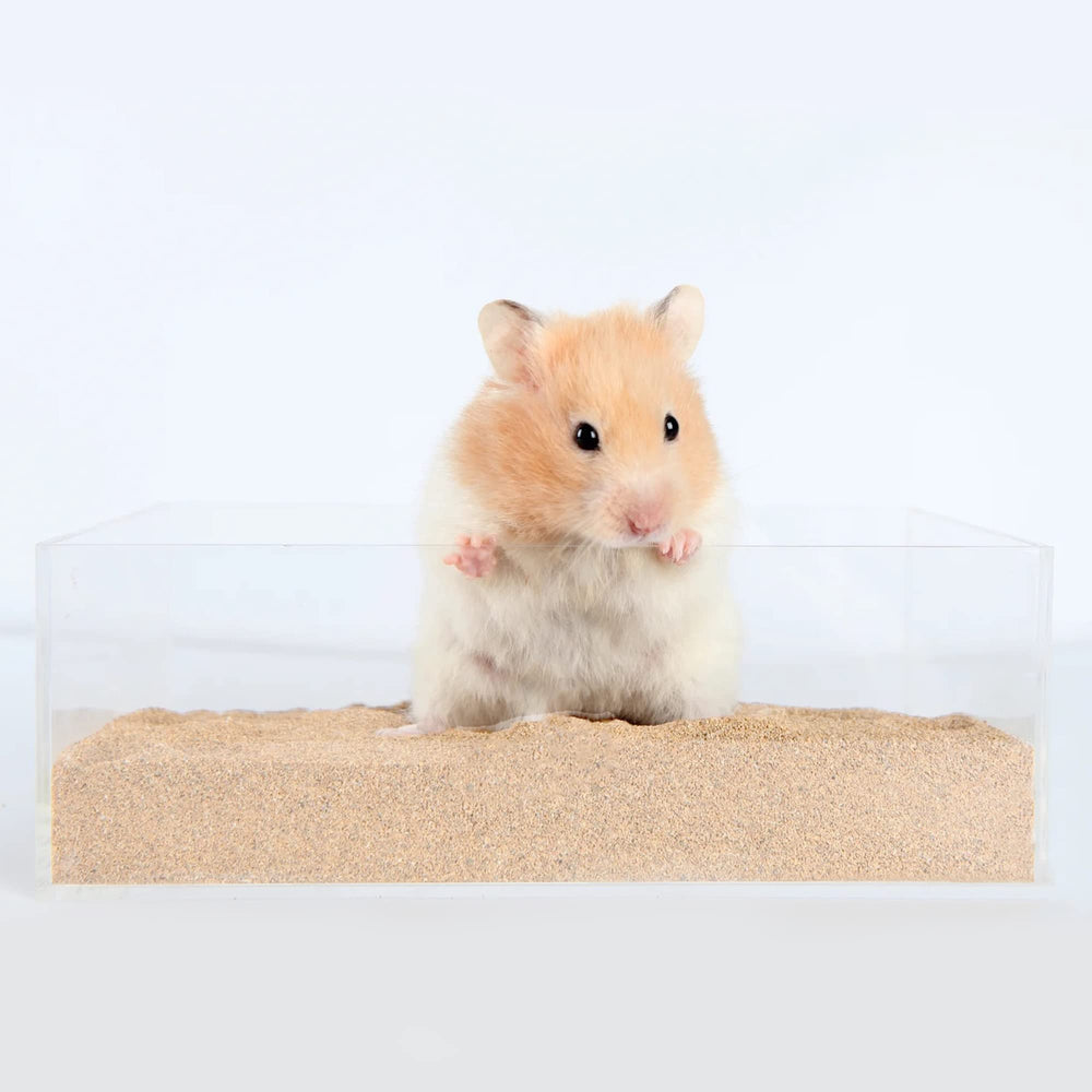 DR.DUDU natural desert sand supports safe, gentle sand baths for small pets.