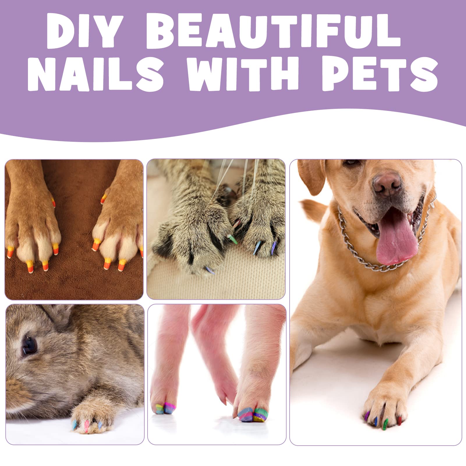 Dreamon dog nail polish pen compatible with cats and horses for variety.