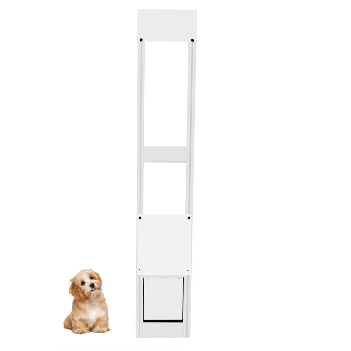 Dreampedal cat dog door insert locked panel demonstrates secure pet access for apartments