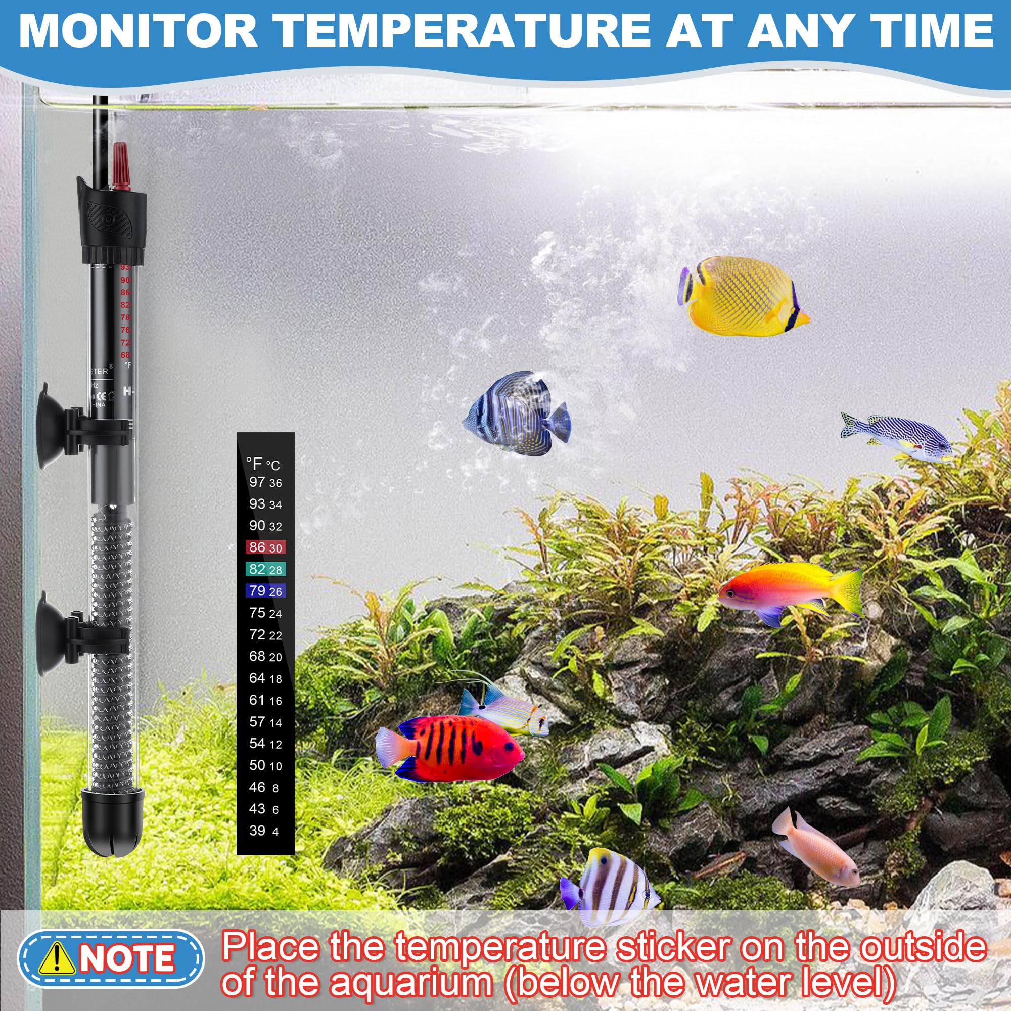 Dreyoo 300W heater visible in a saltwater tank for stable climate