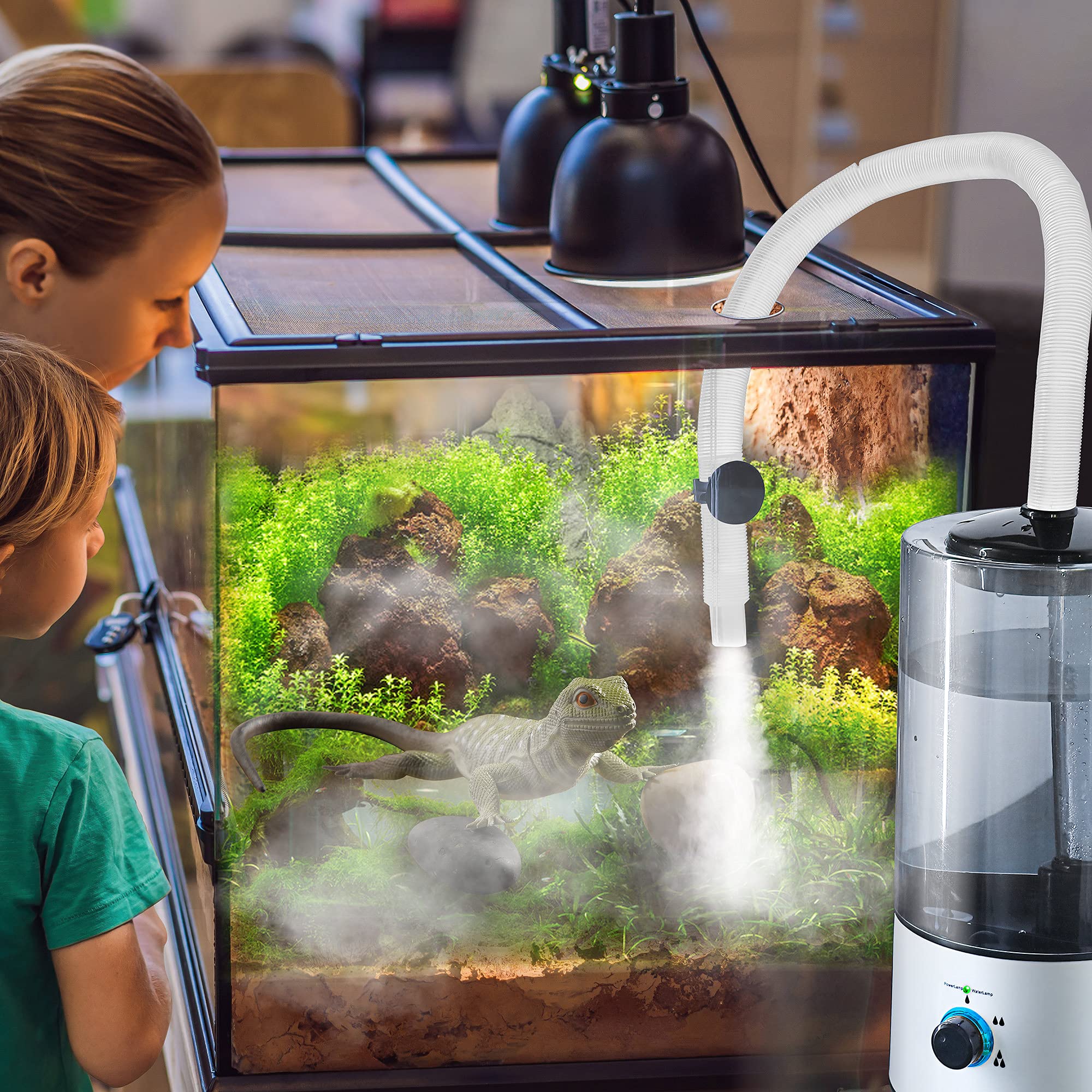 Dreyoo humidifier operates quietly inside a terrarium setup.