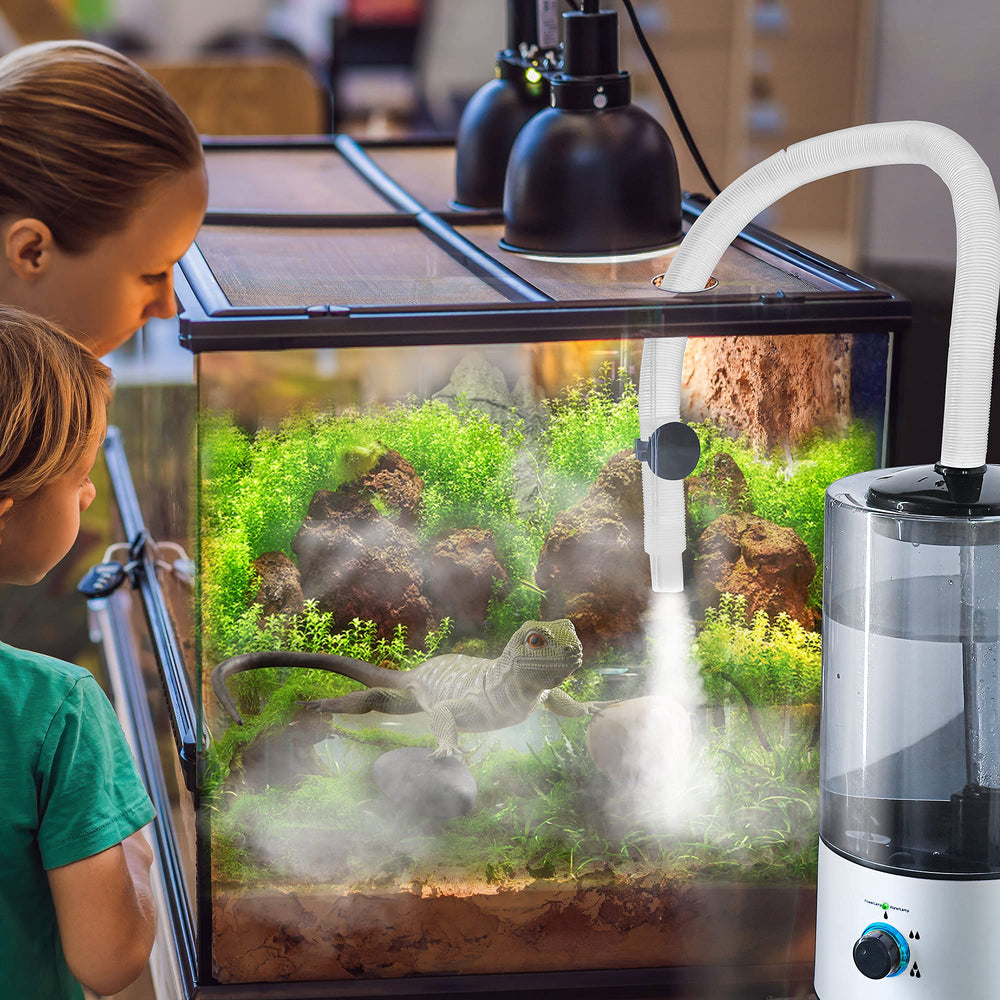Dreyoo humidifier operates quietly inside a terrarium setup.