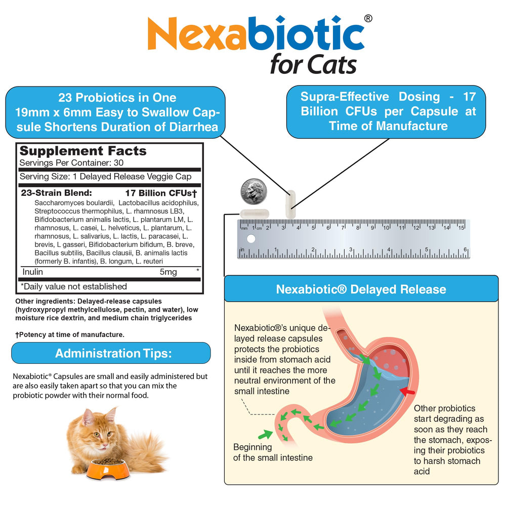 DrFormulas Nexabiotic Cats powder bottle on shelf emphasizes USA-made production