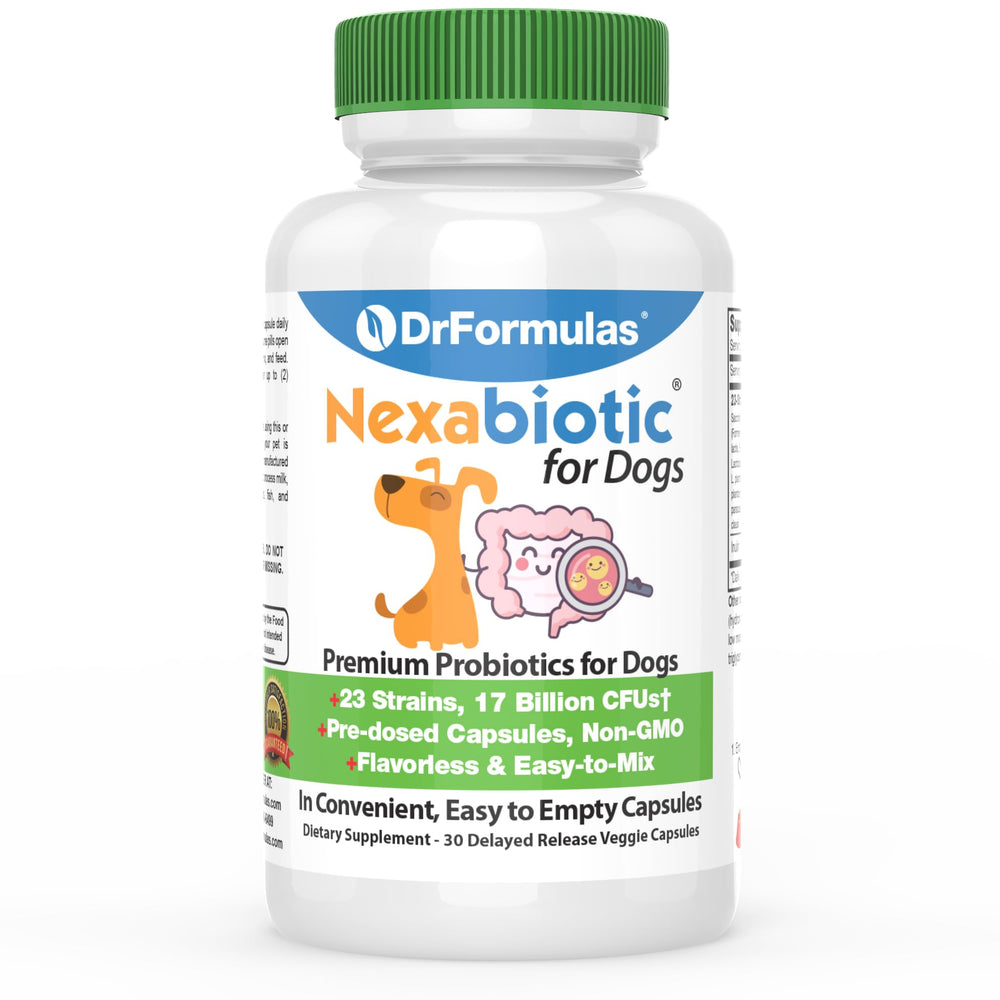 DrFormulas Nexabiotic probiotics for dogs bottle-front highlighting digestive support for pets.