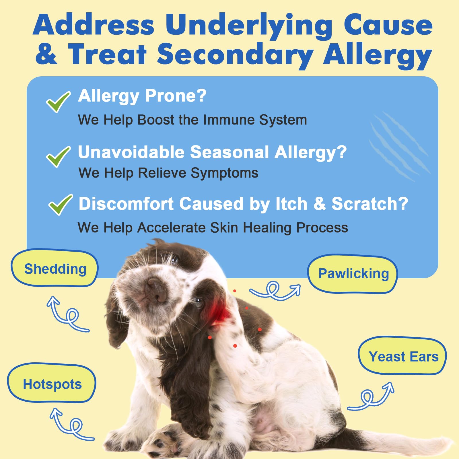 DRFOSTER allergy chews bottle with label showcasing ingredients and benefits
