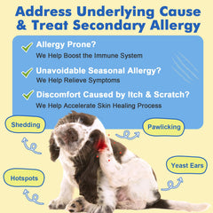 DRFOSTER allergy chews bottle with label showcasing ingredients and benefits