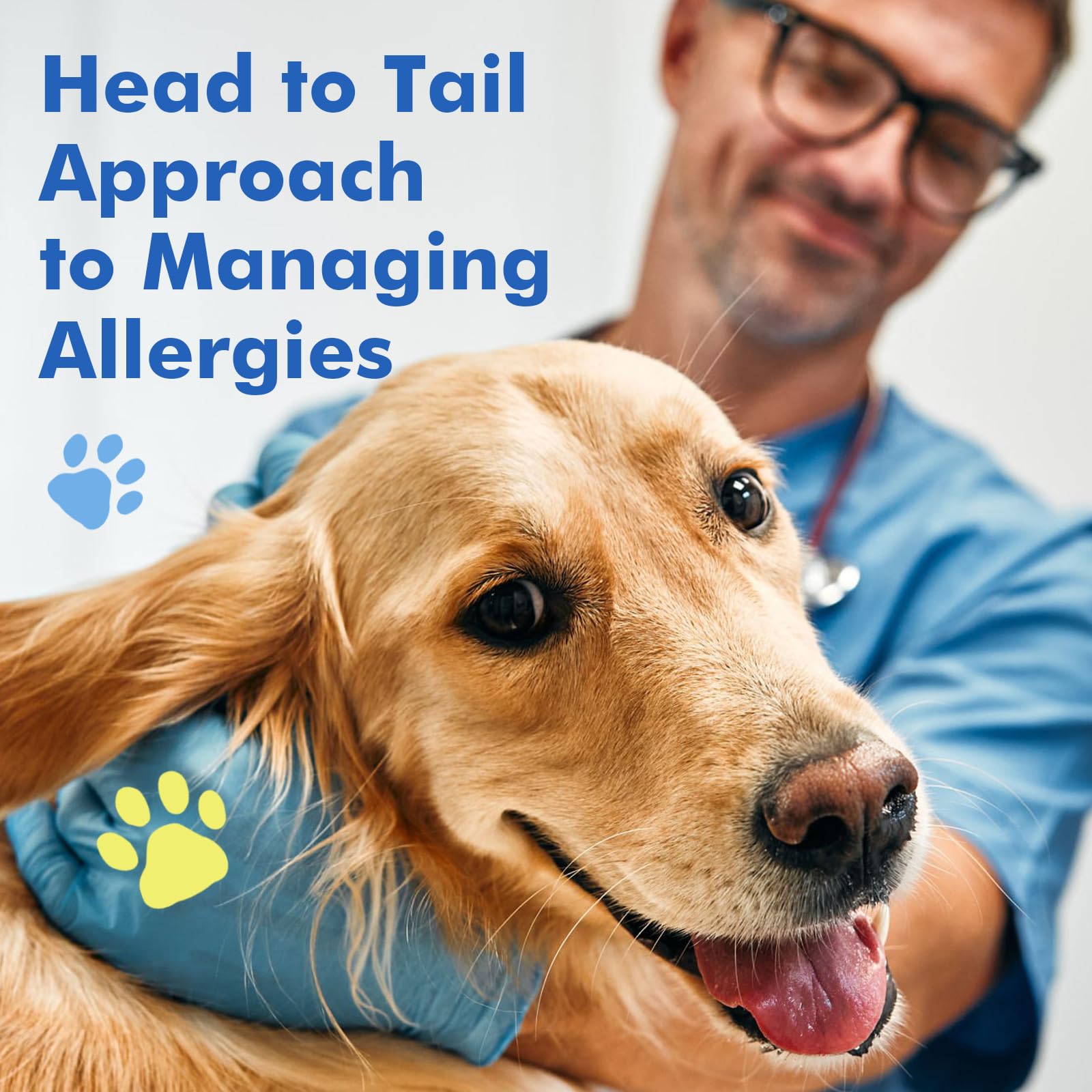 DRFOSTER dog allergy chews label close-up focusing on seasonal support claims