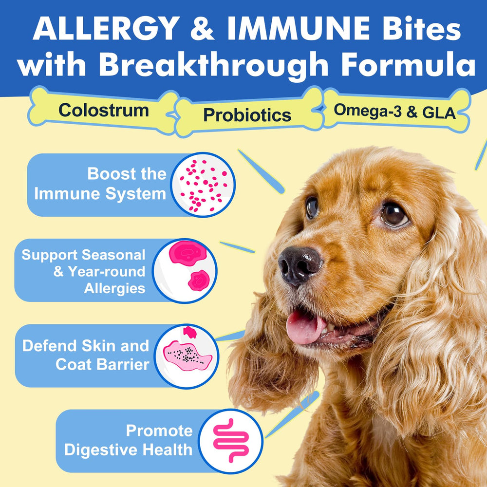 DRFOSTER allergy chews treat bowl scene emphasizing tasty bites for skin comfort