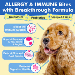 DRFOSTER allergy chews treat bowl scene emphasizing tasty bites for skin comfort