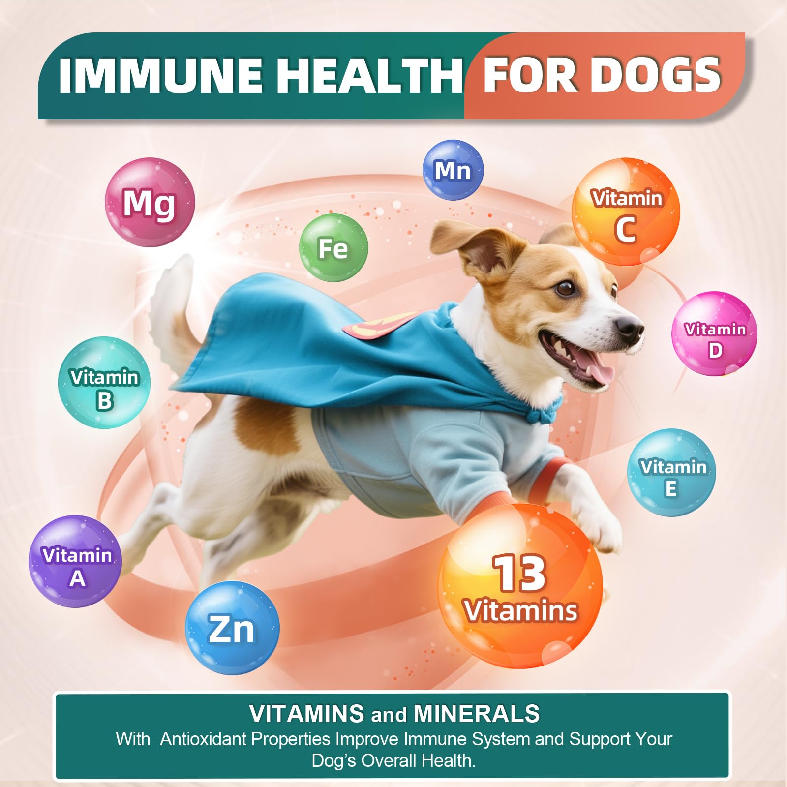 DRFOSTER Dog Multivitamin bites digestive enzymes highlight gut support.