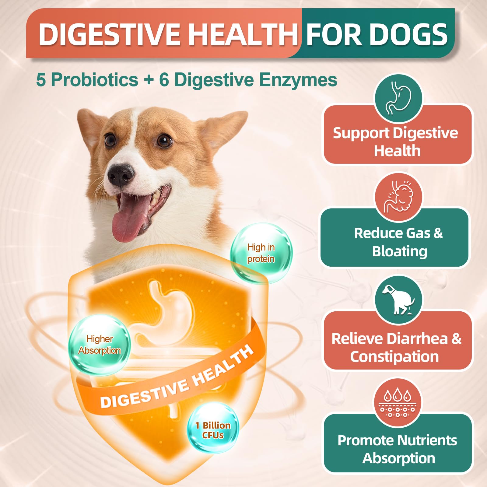 DRFOSTER glucosamine image demonstrates joint health support.