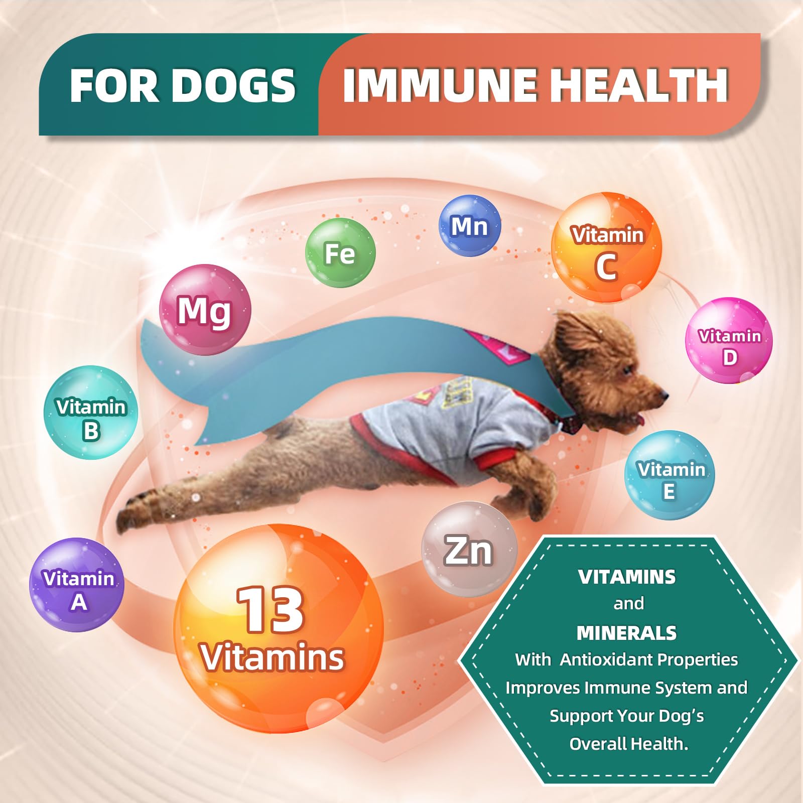 DRFOSTER dog multivitamin joint and skin ingredients infographic.
