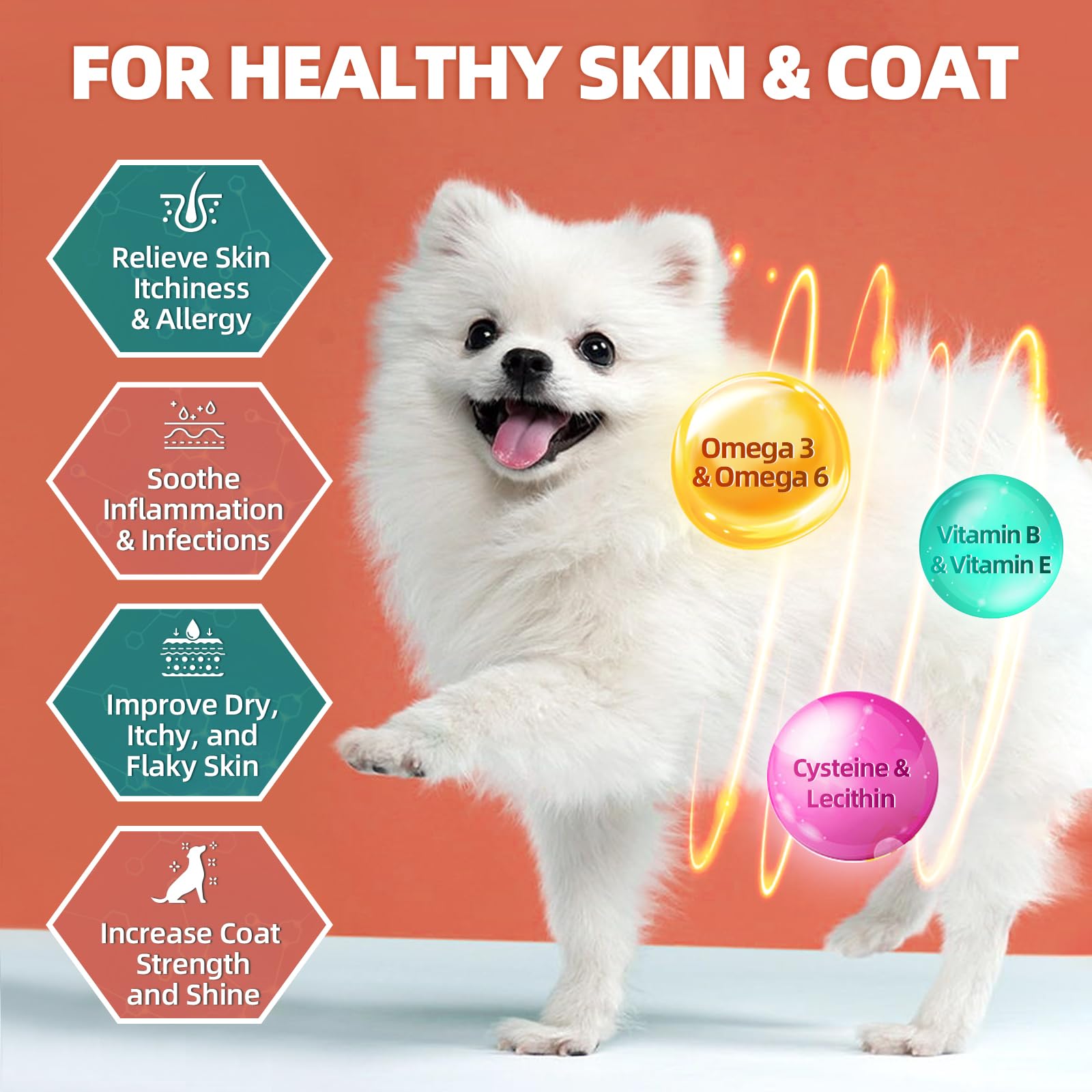 DRFOSTER dog multivitamin probiotics and digestive enzymes in action.