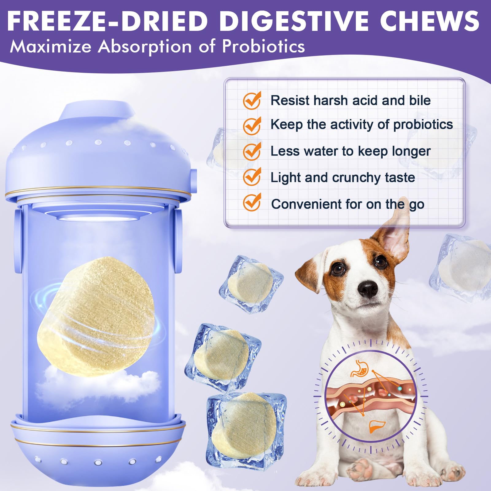 DRFOSTER freeze-dried dog probiotics bites ready-to-eat snack for convenient feeding.