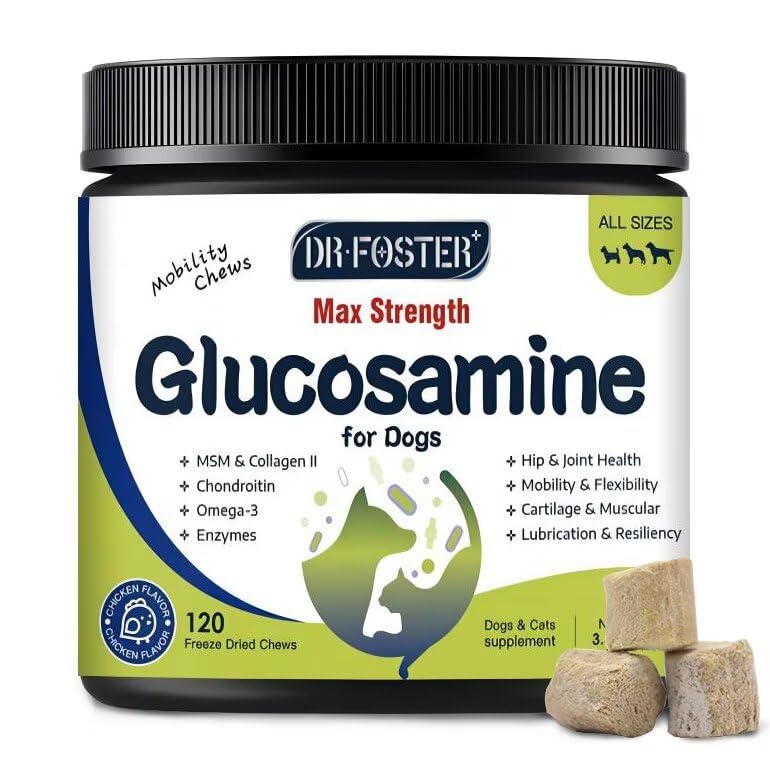 DRFOSTER glucosamine for dogs bottle supports joint comfort during play.