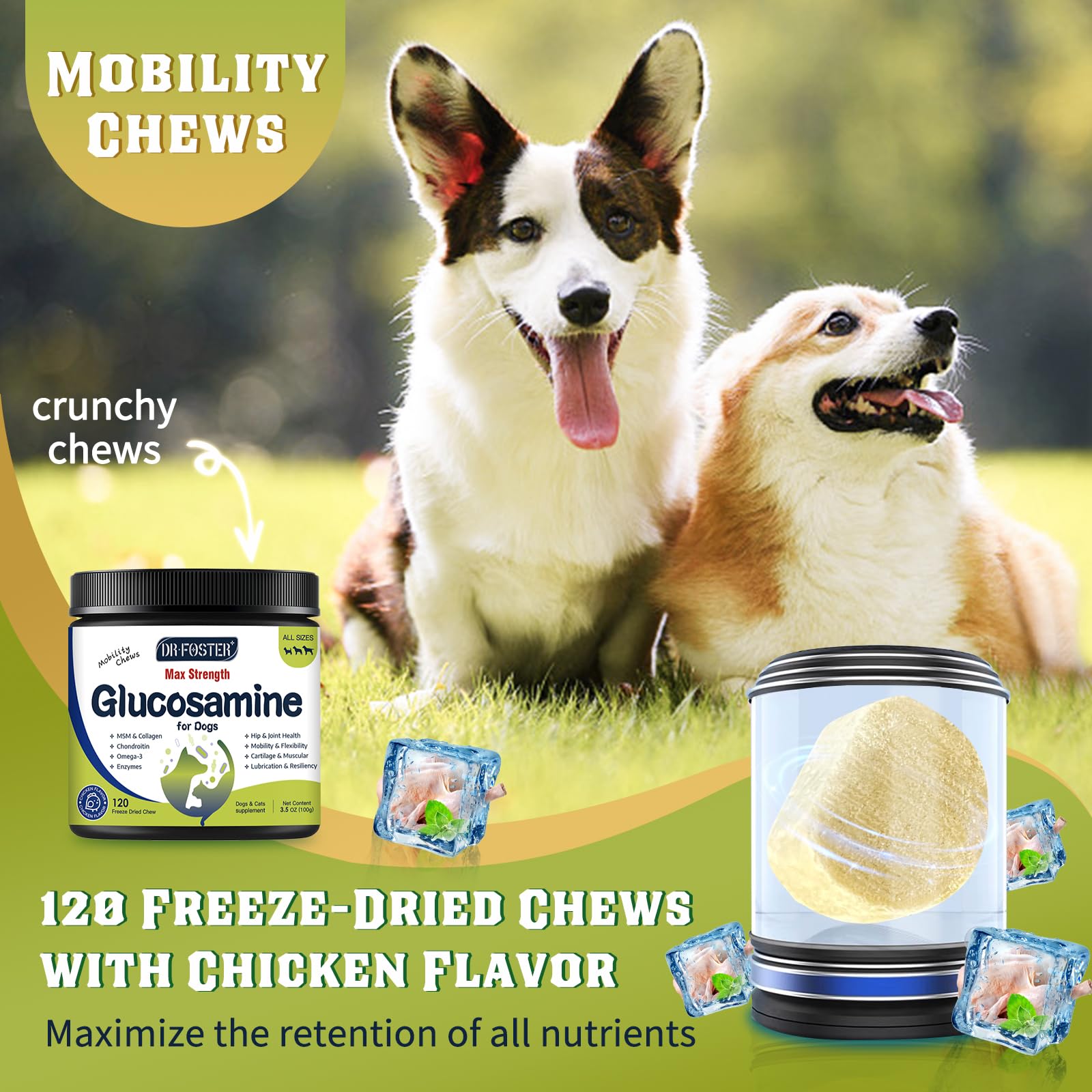 DRFOSTER glucosamine for dogs chews close-up with appealing chicken flavor.