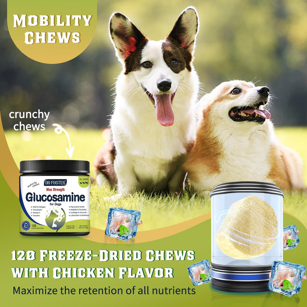 DRFOSTER glucosamine for dogs chews close-up with appealing chicken flavor.