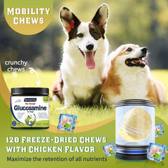 DRFOSTER glucosamine for dogs chews close-up with appealing chicken flavor.