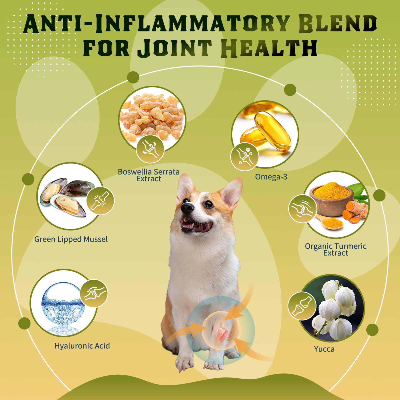DRFOSTER glucosamine for dogs chicken flavor package shows ready-to-serve nutrition.