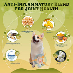 DRFOSTER glucosamine for dogs chicken flavor package shows ready-to-serve nutrition.