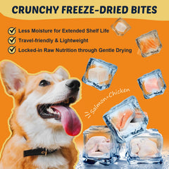 DRFOSTER Omega-3 Dogs chew texture image reveals tasty crunchy treat-like supplement