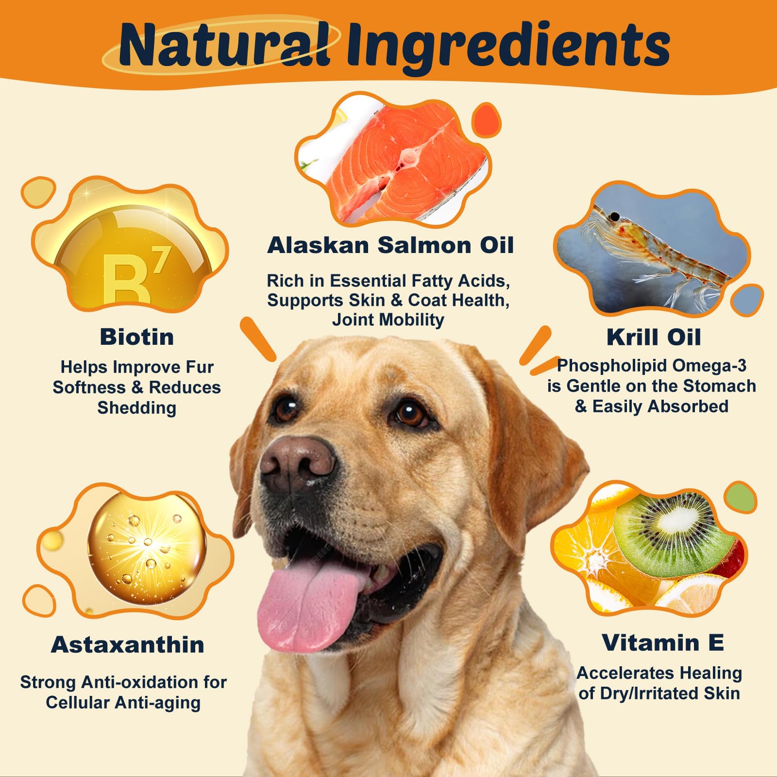 DRFOSTER Omega-3 Dogs krill oil bottle highlights absorption and vitality