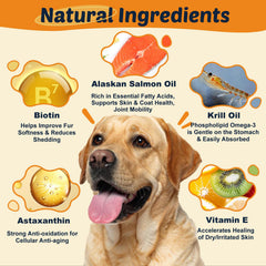 DRFOSTER Omega-3 Dogs krill oil bottle highlights absorption and vitality