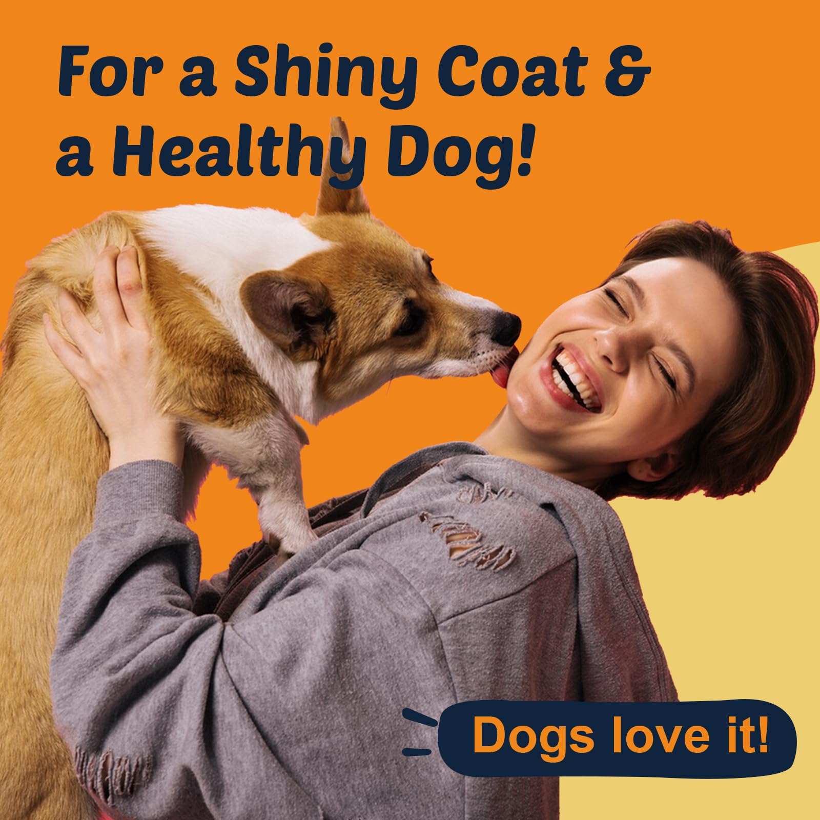 DRFOSTER Omega-3 Dogs skin and coat illustration hints at a shiny coat