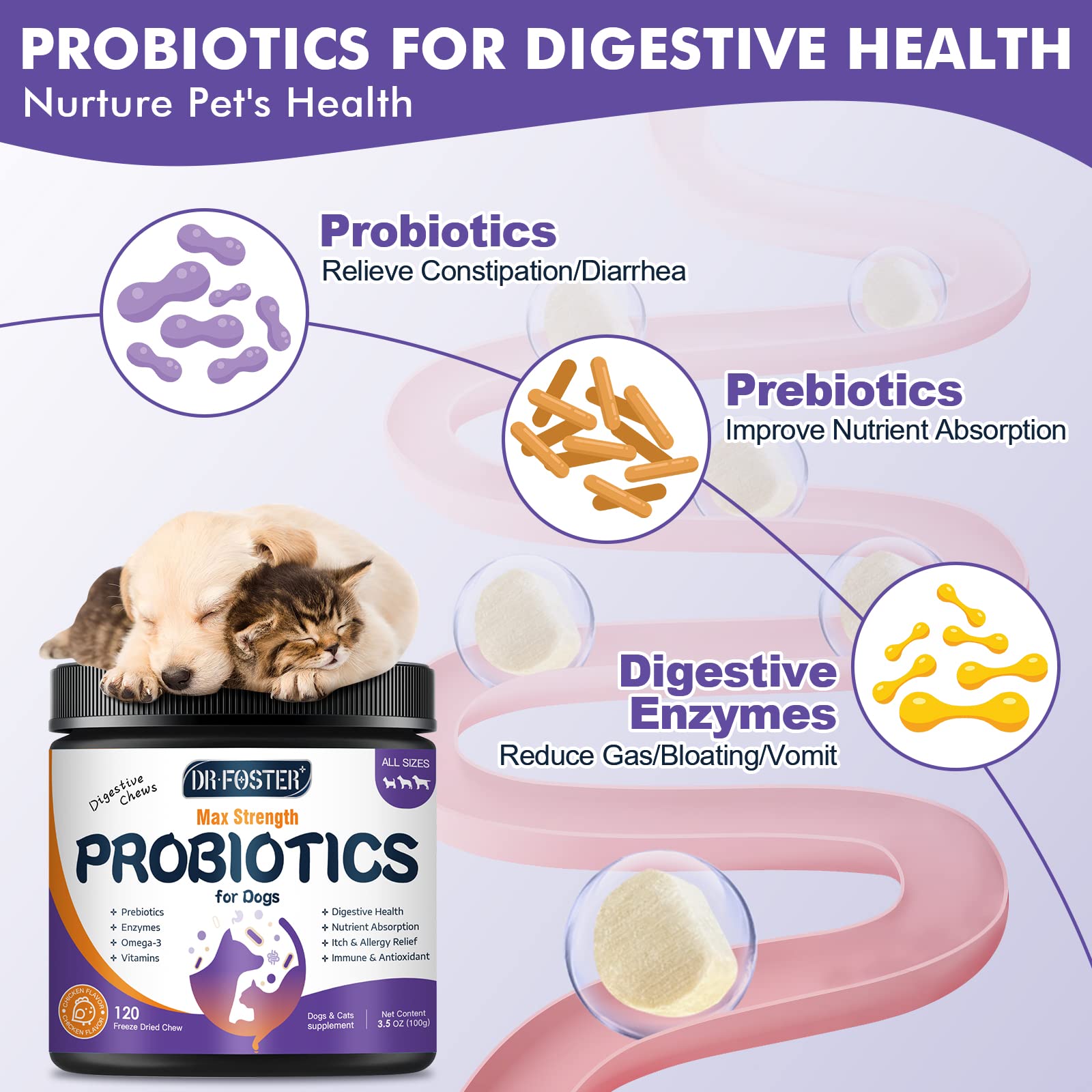 DRFOSTER Omega-3 dog bites support healthy skin and coat during seasonal changes.